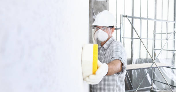 Best Mold Removal for HVAC Installations in USA